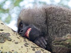 animals2014 055 : iPhoto Original, tanzania, Travel