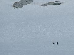 acs 082 : Antarctica