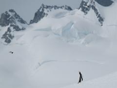 acs 083 : Antarctica
