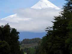 DSC 9950