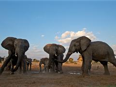botswana2019 002