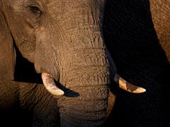 botswana2019 003