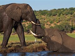 botswana2019 005