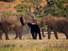 botswana2019 006