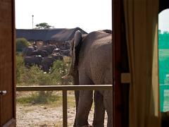 botswana2019 007