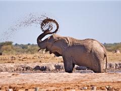 botswana2019 008