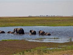 botswana2019 009