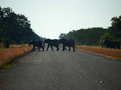 botswana2019 010