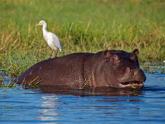botswana2019 021