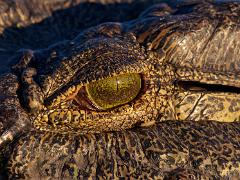 botswana2019 022
