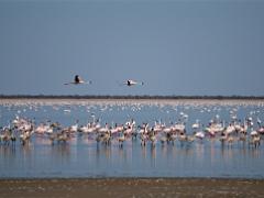 botswana2019 024