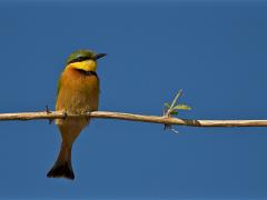 botswana2019 025