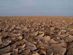 landscapes2014 013