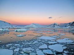 landscapes2014 041