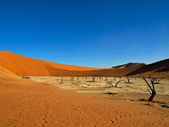 landscapes2014 055