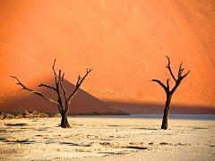 landscapes2014 057