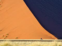 landscapes2014 060