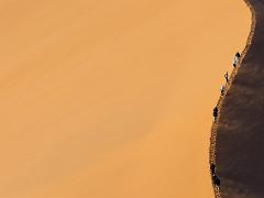 landscapes2014 061