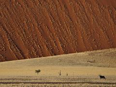 landscapes2014 063