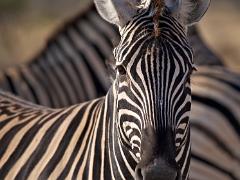 Namibia 2014