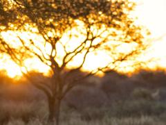 people2014 014  A