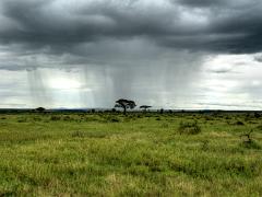 tanzania 018 : HDR, Tanzania
