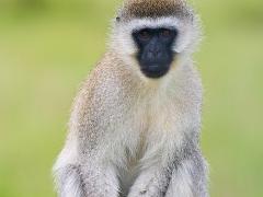 tanzania 022 : Tanzania