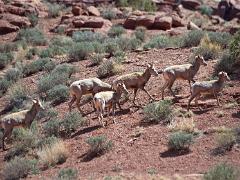 utah 050