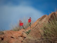 utah 073