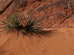 utah 076
